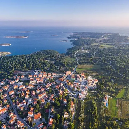 Luxury Olivia With Pool , 200m From The Villa