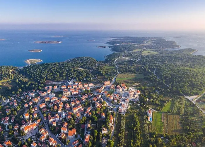 Luxury Olivia With Pool , 200m From The 빌라